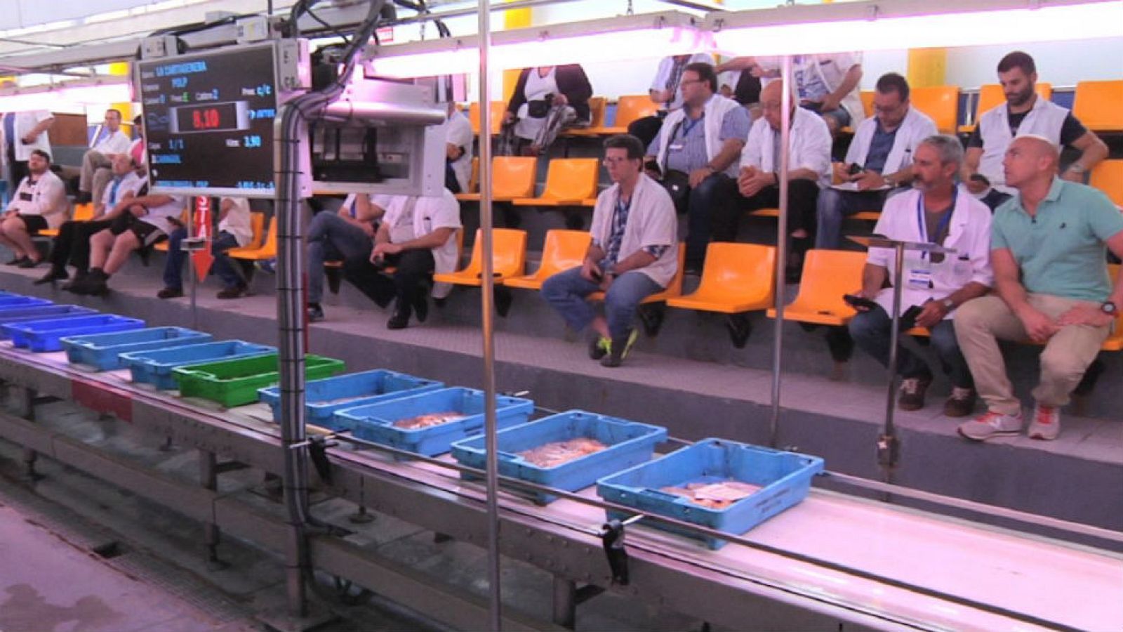 ¿Cómo funciona una lonja?