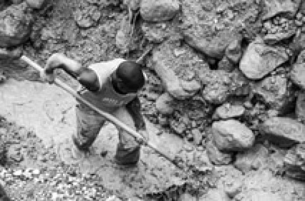 Documentos TV - Cuando los elefantes luchan