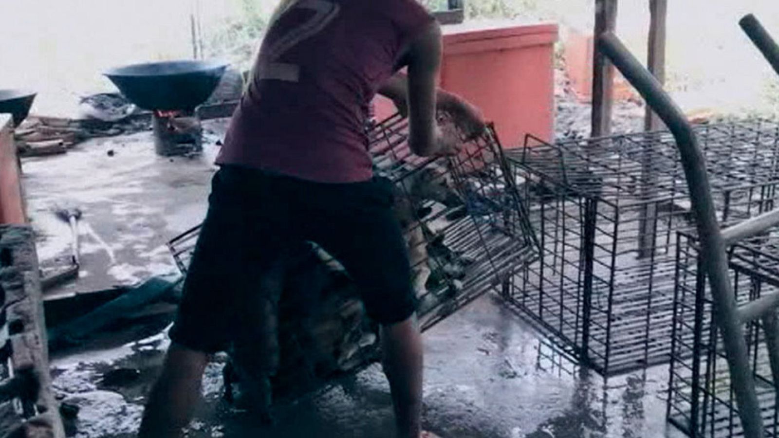 Protestas por el sacrificio de miles de perros en un festival tradicional en China