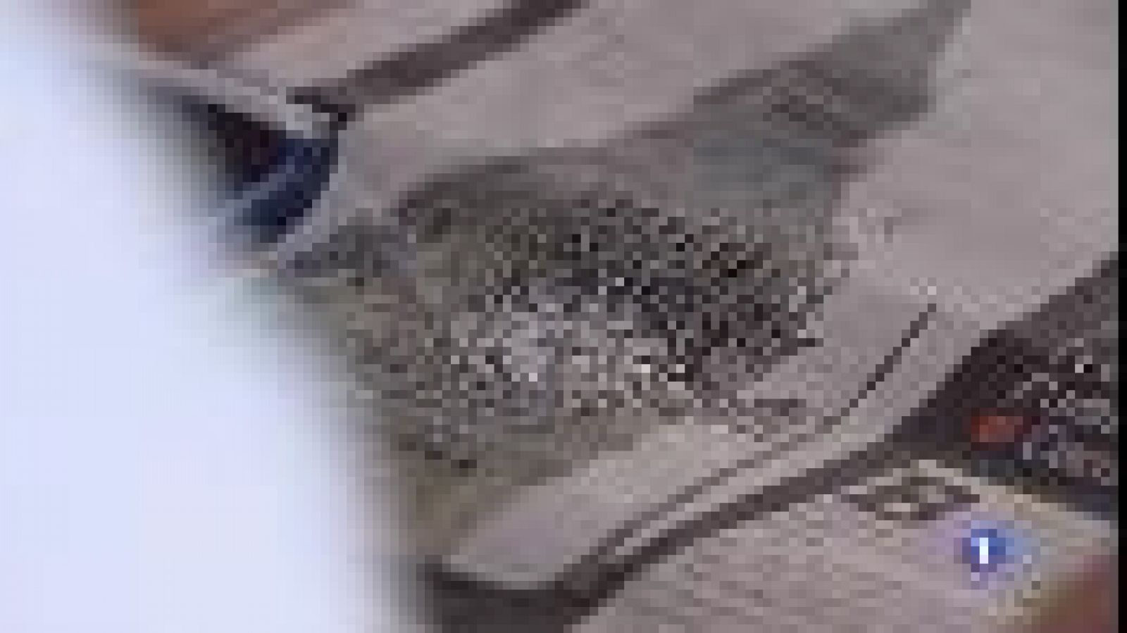 La comunitat britànica a les illes