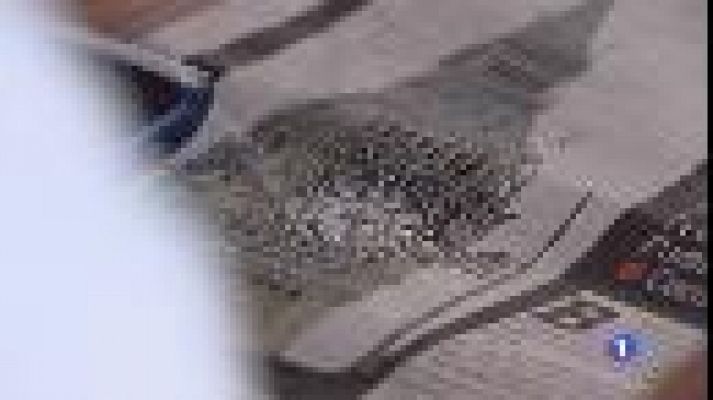 Informatiu Balear - La comunitat britànica a les illes