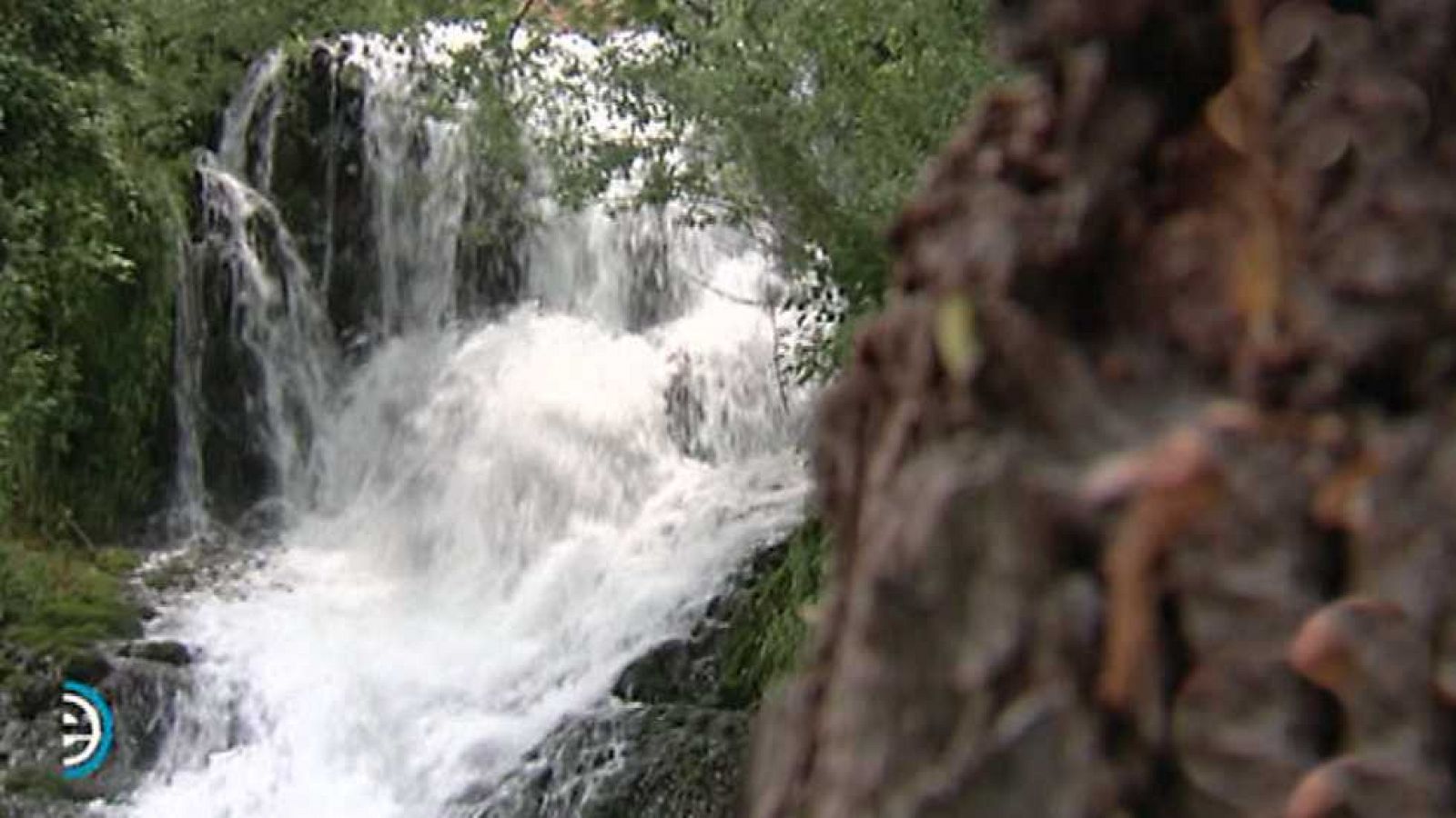 España Directo - 22/06/16 - ver ahora