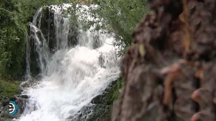 España Directo - España Directo - 22/06/16