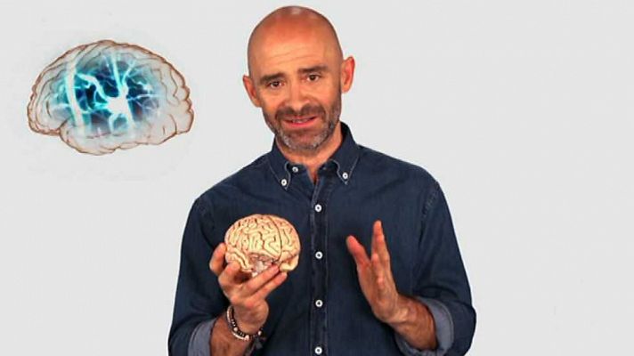 Desafía tu mente - Desafía tu mente - 22/06/16