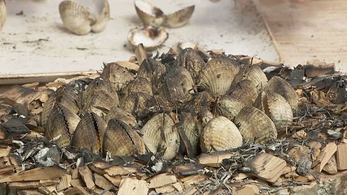 Torres en la cocina - Berberechos al fuego