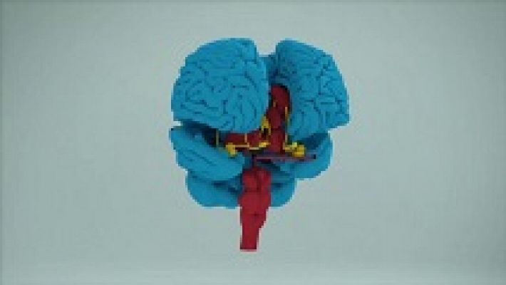 Desafía tu mente - El cerebro adulto tiene automatizada la capacidad lectora