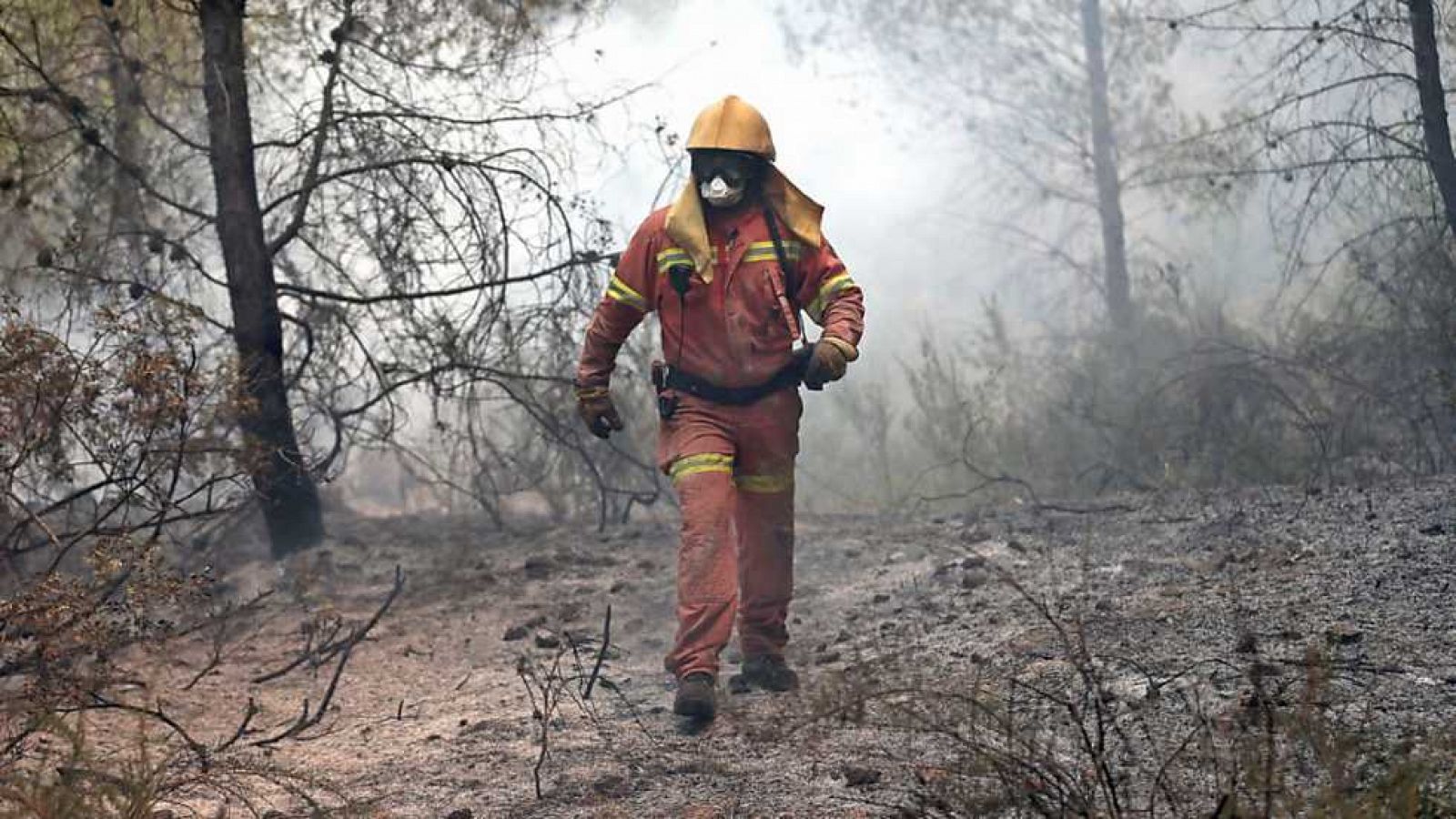 España en 24 horas - 23/06/16 - ver ahora
