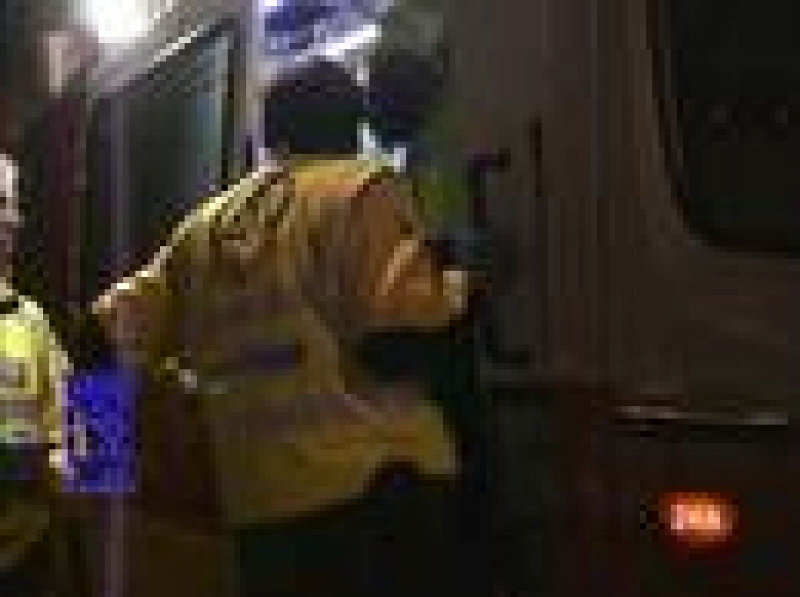 Herido muy grave un hombre tras ser tiroteado en el garaje de su casa ...