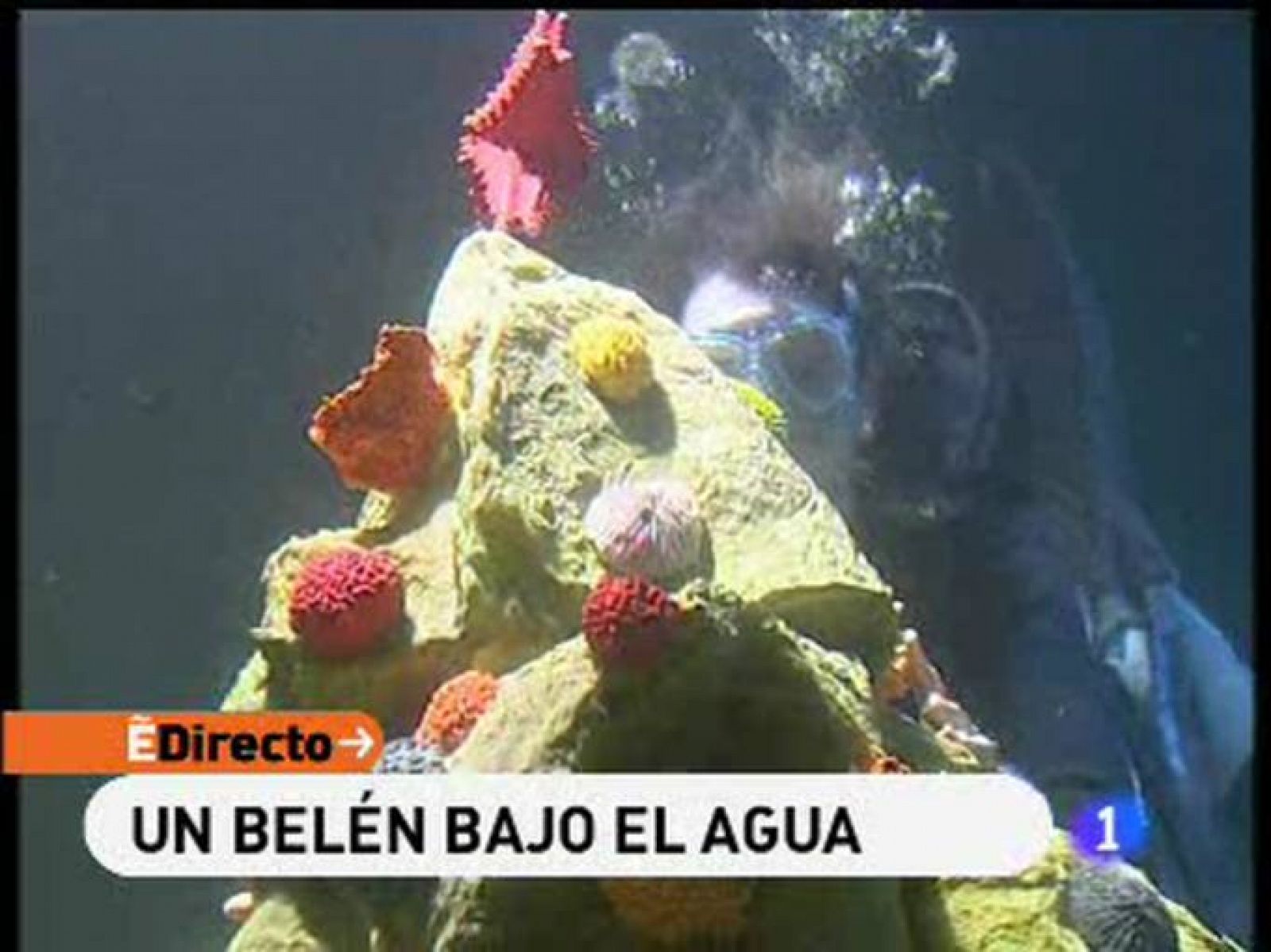 España Directo: Un belén entre tiburones | RTVE Play