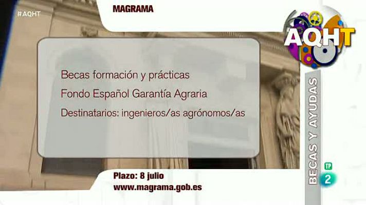 Aquí hay trabajo - Puedes conseguir experiencia con estos 3 programas de becas