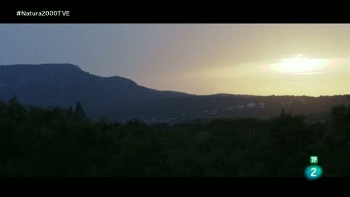 Red Natura 2000 - Aiguamolls d l'Alt Empordà - Jordi Sargatal. Camping Mascort