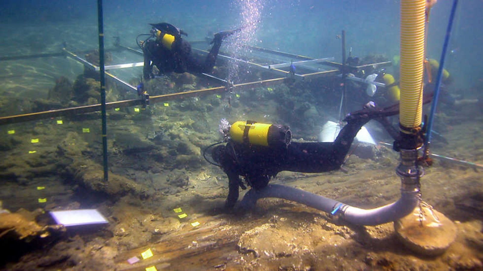 Documenta2 - El Triunfante - ver ahora