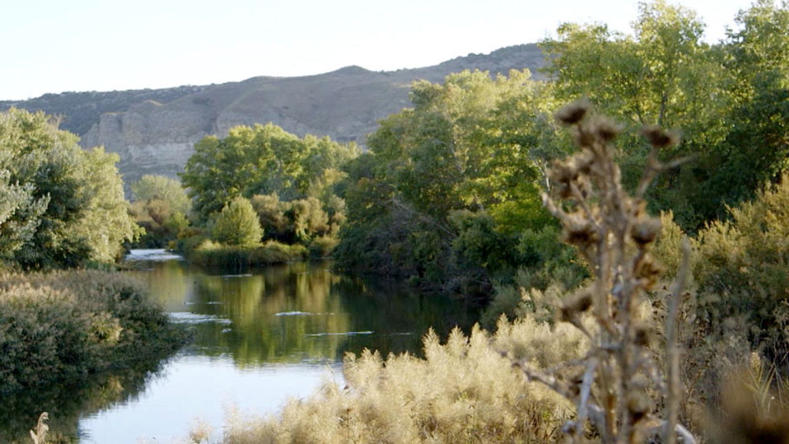 Red Natura 2000: Cantiles del Jarama  | RTVE Play