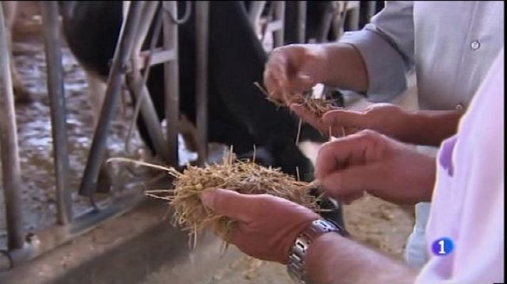 Informatiu Balear - Informatiu Balear 2 - 28/06/16