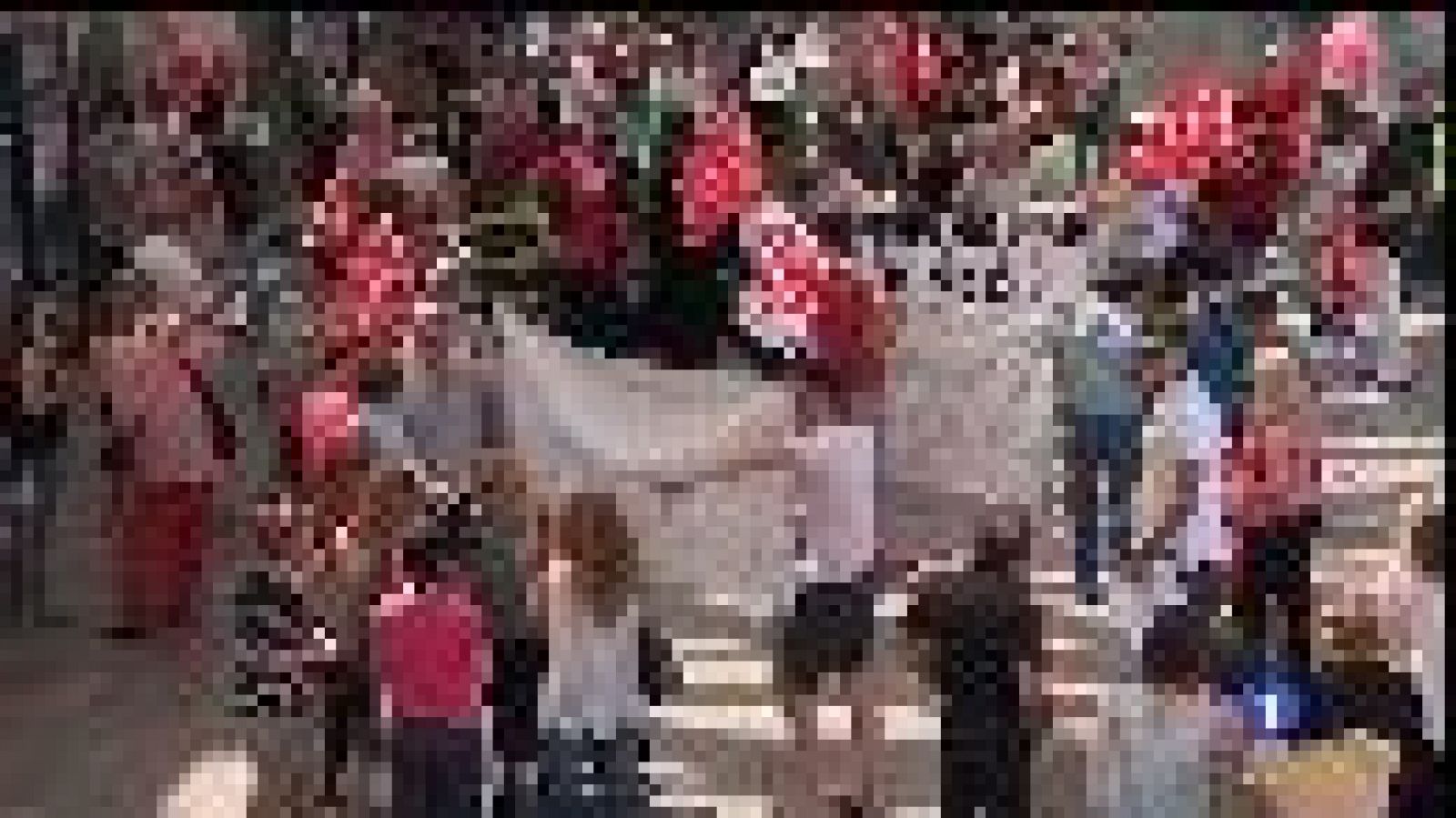 Informatiu Balear: Manifestació dels treballadors de 'handling' | RTVE Play