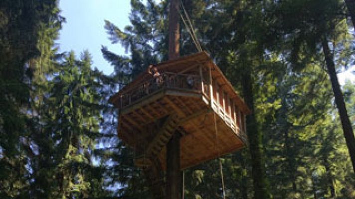 España Directo - Un hotel ¡en un árbol!