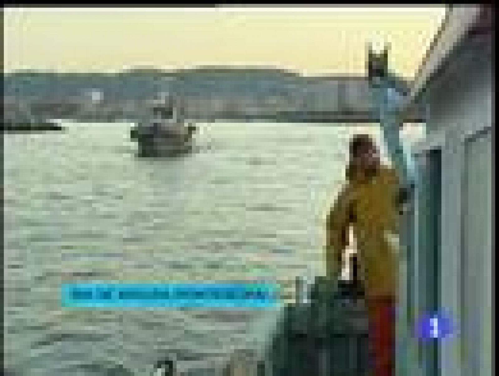 La flota gallega se echa a la mar para capturar vieiras tras nueve meses de veda por una toxina que impedía pescarla | Ver