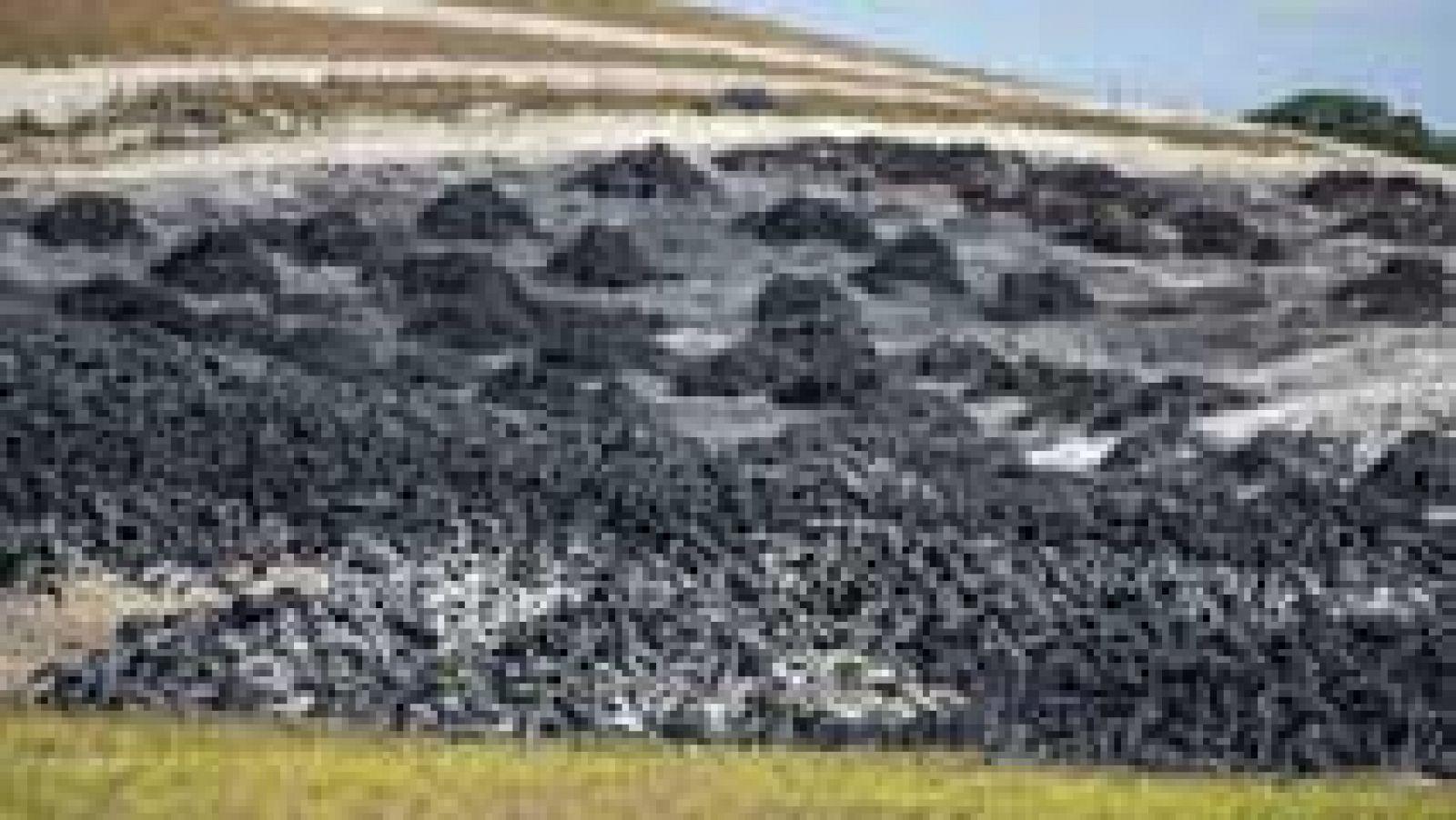 Informativo de Madrid - 30/06/16