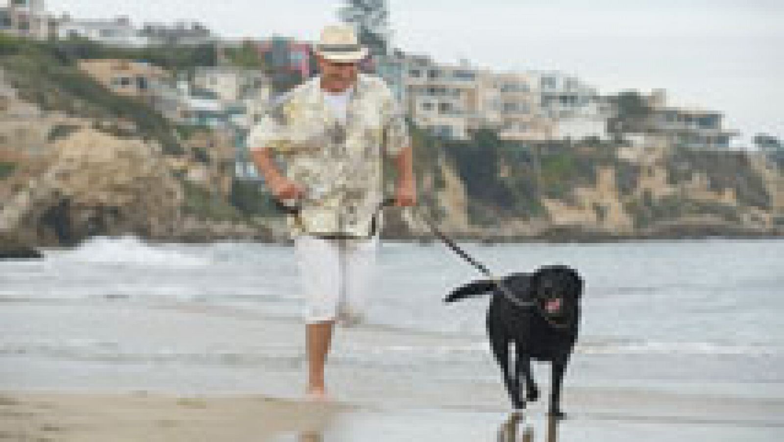 Telediario 1: España ya cuenta con más de 40 playas donde se permiten los perros | RTVE Play