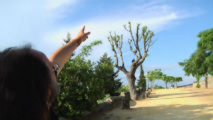 Aquí la Tierra - Luismi y los huéspedes del aire