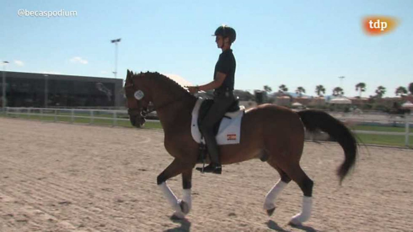 Pódium - Capítulo 32. Hípica doma - ver ahora