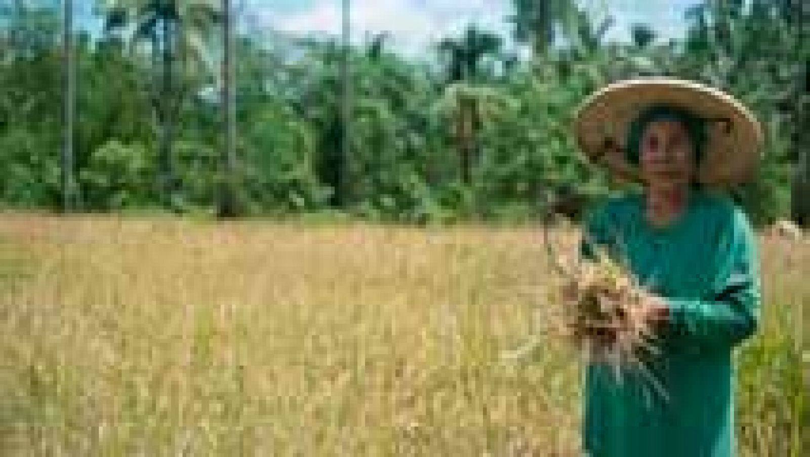 Más De Cien Premios Nobel Acusan A Greenpeace L Rtve