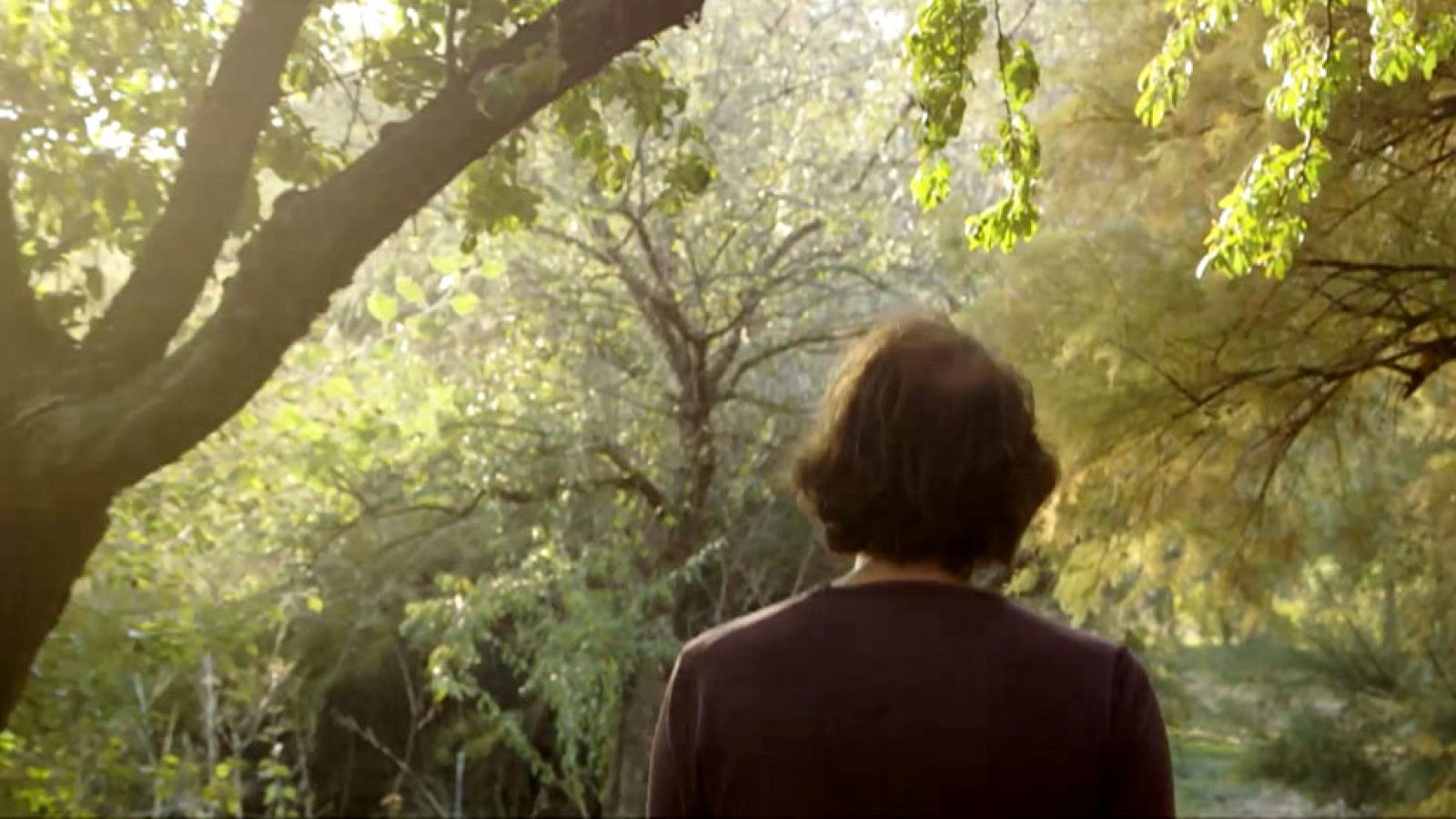 Red Natura 2000 - Cantiles y Cortados del Jarama - Avance