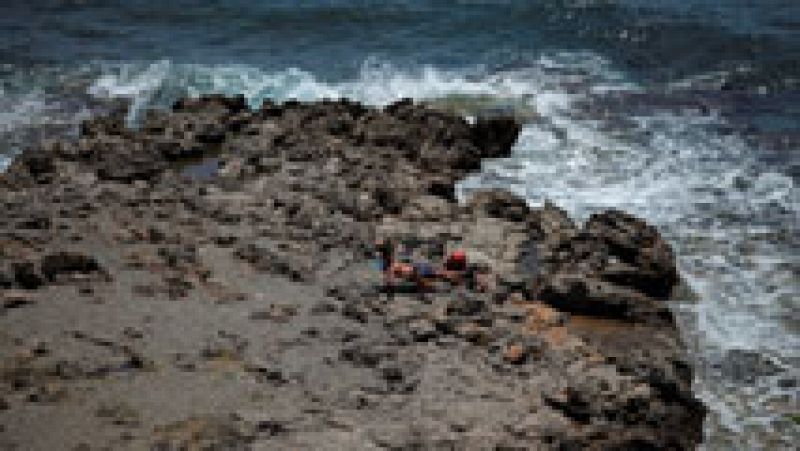 Suavizará el calor extremo en el sur y lloverá en el interior