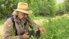 Aquí la tierra - Juan Plantas y el amor de hortelano
