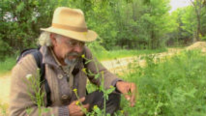 Aquí la Tierra - Juan Plantas y el amor de hortelano