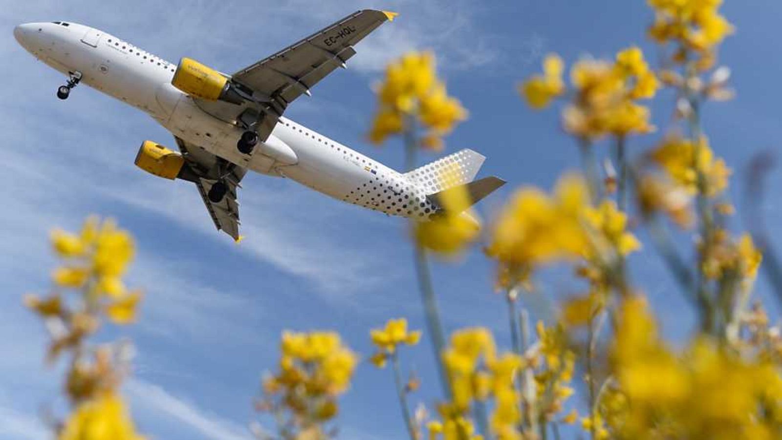 Telediario - 21 horas - 04/07/16 - ver ahora