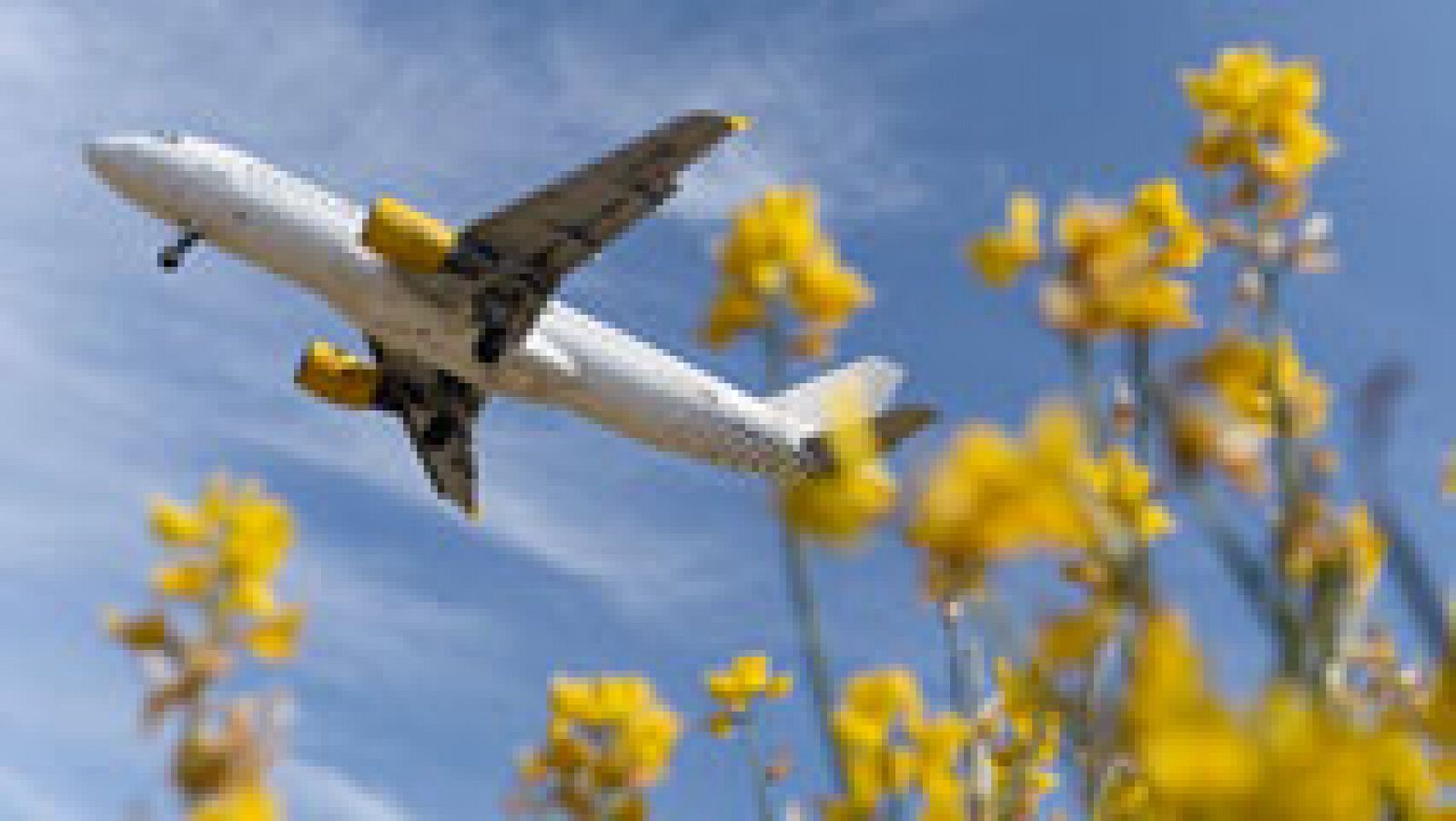 Telediario 1: Vueling cancela 64 vuelos por la huelga en Francia de los 700 programados | RTVE Play