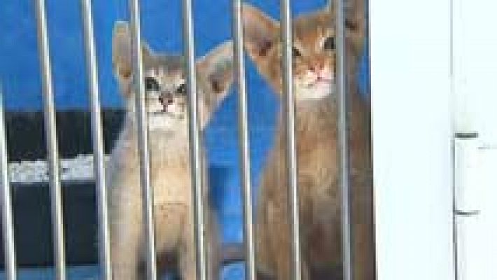 Informativo de Madrid - Informativo de Madrid 2 - 05/07/16