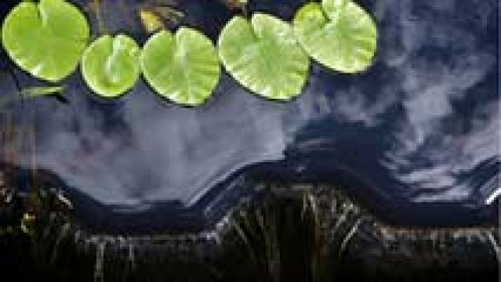 El tiempo - Jornada lluviosa en la meseta norte