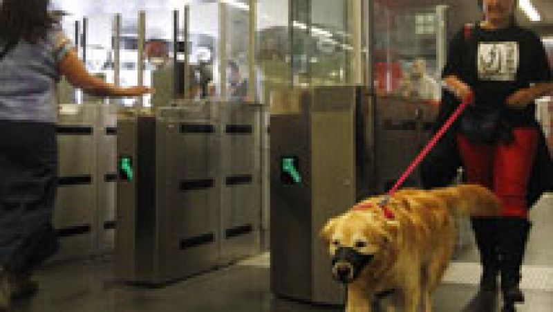 Los perros pueden viajar en el Metro de Madrid