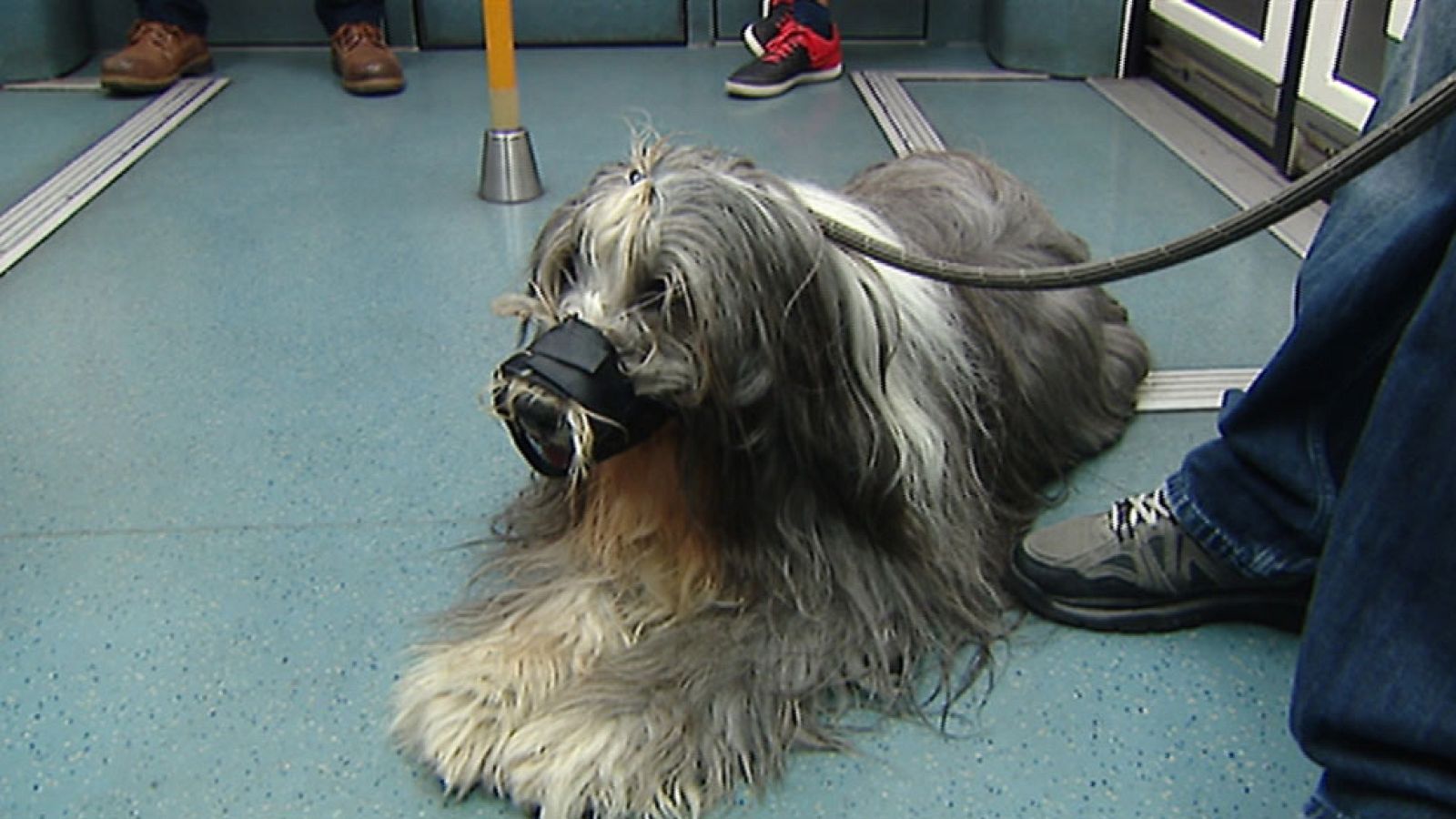 Informativo de Madrid 2 - 06/07/16