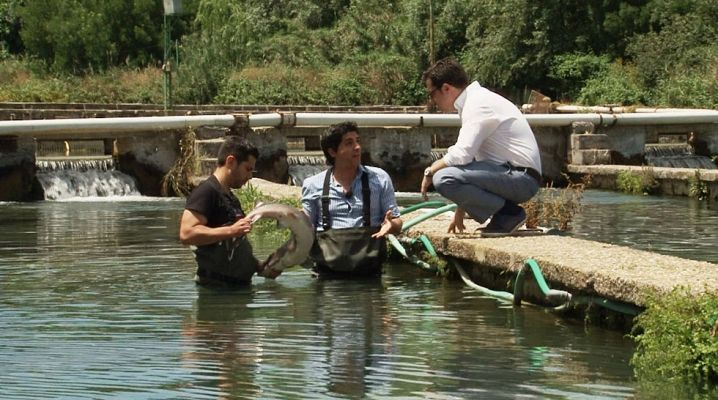 El criadero ecológico de esturión más importante del mundo