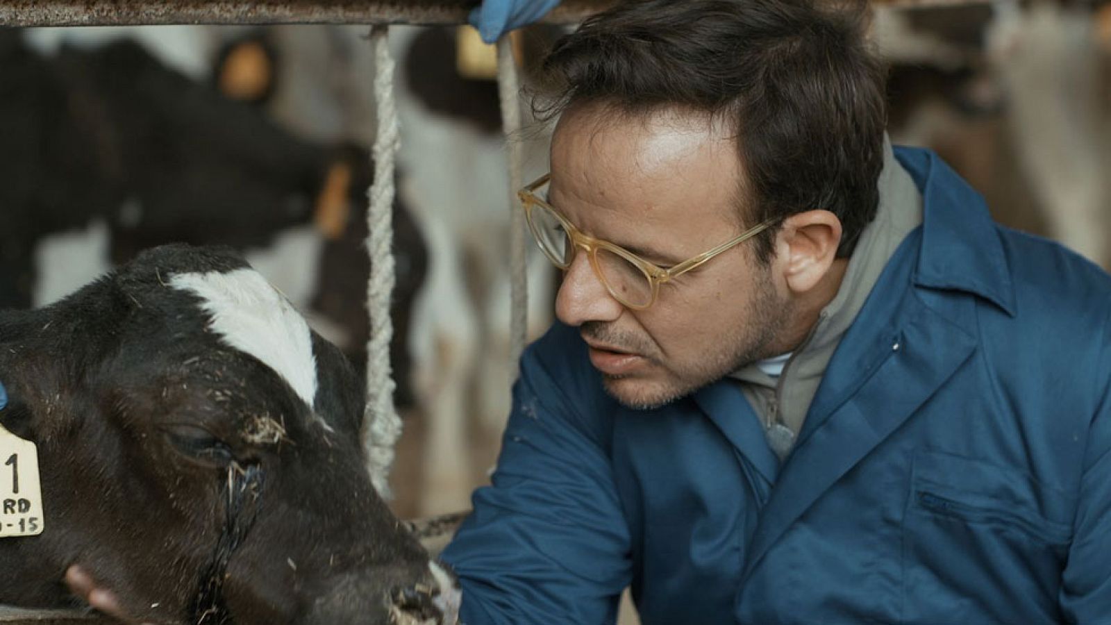 Trabajo Temporal - Ángel Llâcer se emociona con una canción