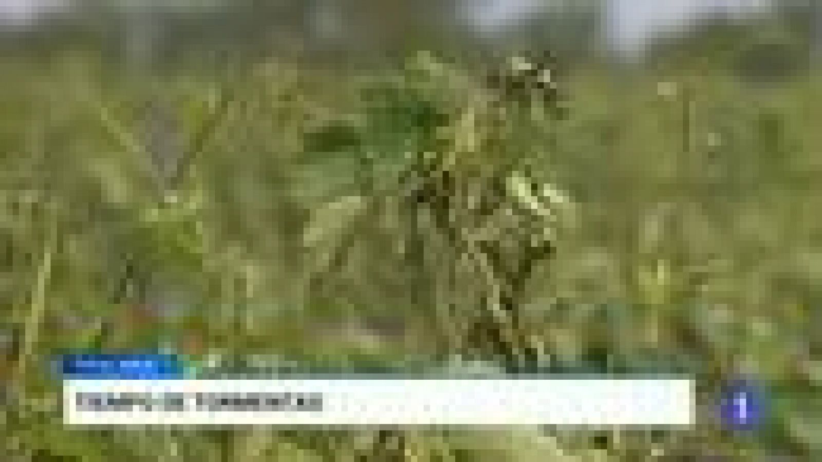 Castilla y León en 2' - 07/07/16