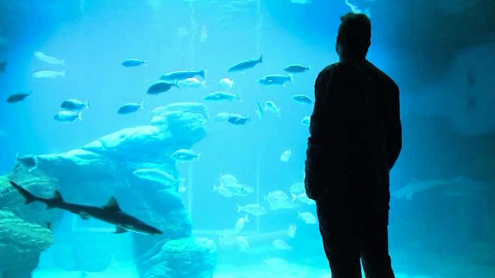 A punto con La 2 - 07/07/16 - ver ahora