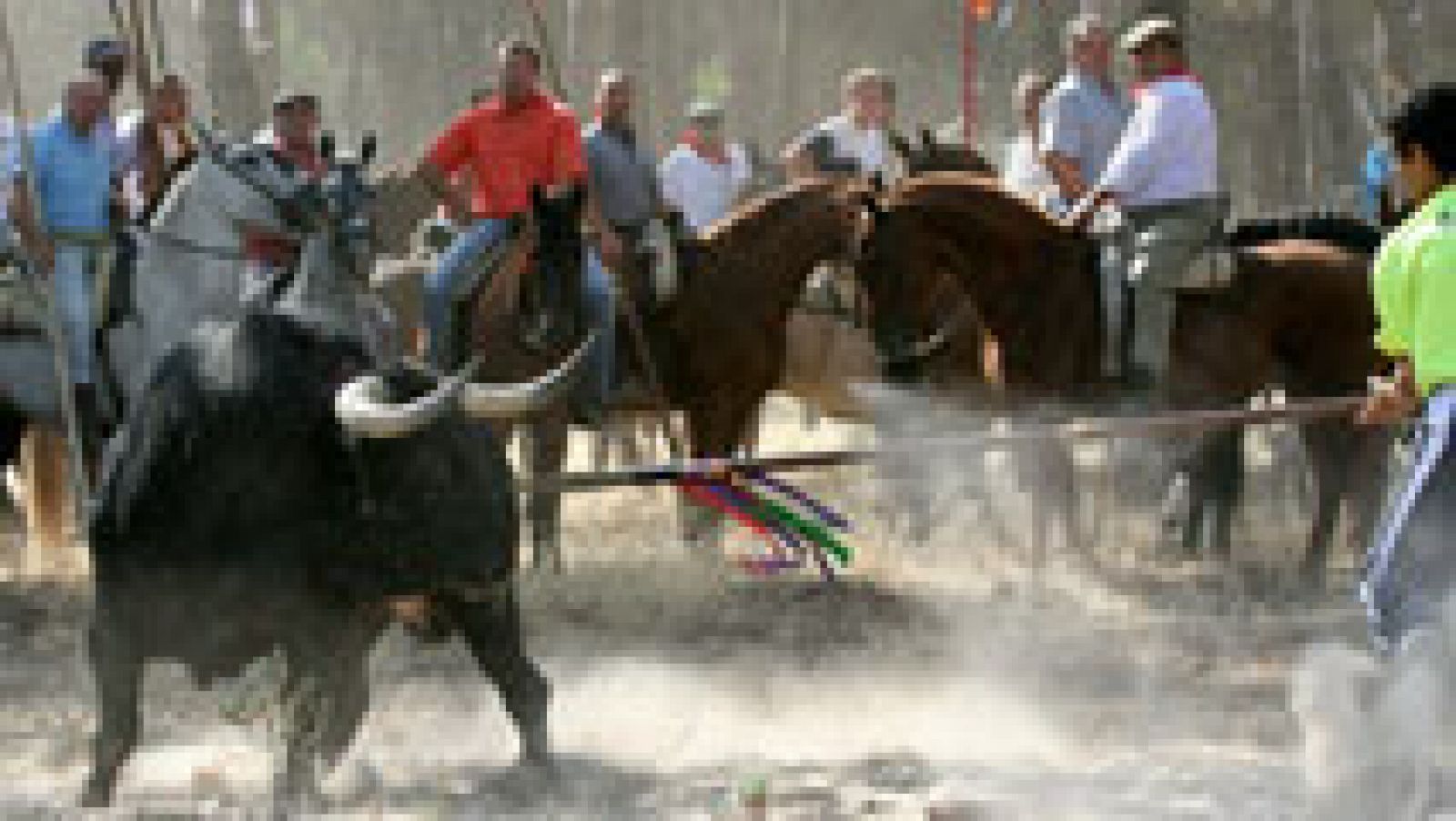 Telediario 1: El Ayuntamiento de Tordesillas anuncia que este año no celebrará el polémico torneo del Toro de la Vega | RTVE Play