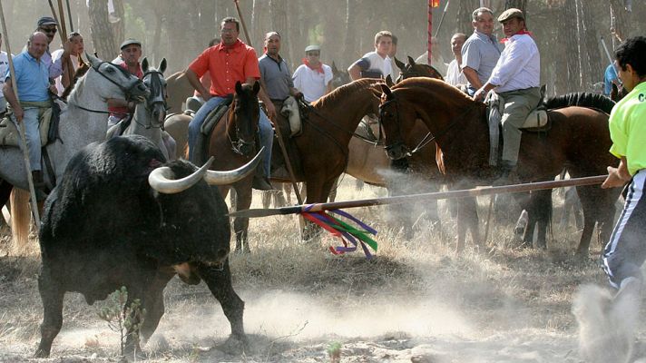 Telediario 1 - El Ayuntamiento de Tordesillas anuncia que este año no celebrará el polémico torneo del Toro de la Vega