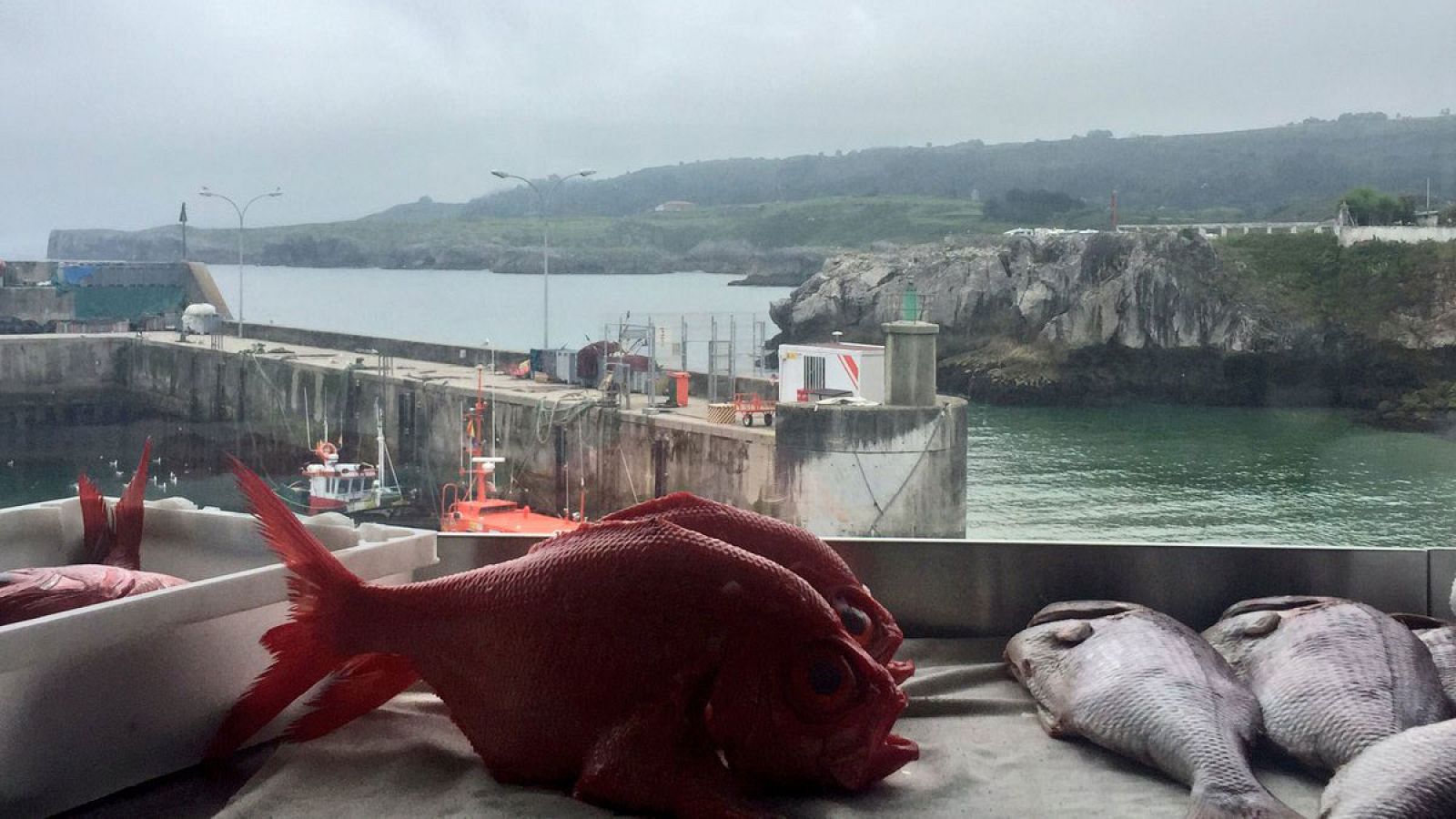 ¡Al río pescado fresco!