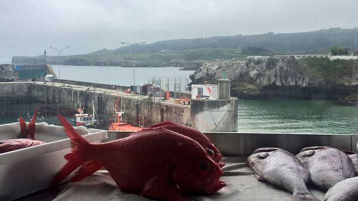 España Directo - ¡Al río pescado fresco!