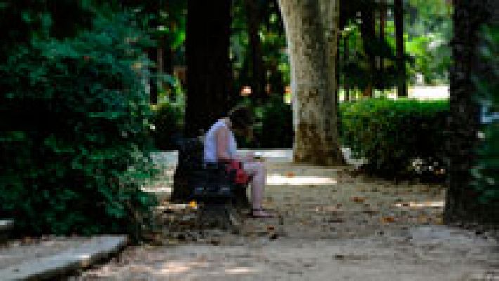 El tiempo - Predominio de poco nuboso o despejado