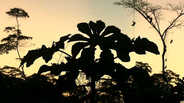 Pueblo de Dios - Sepahua: la madera de la casa común