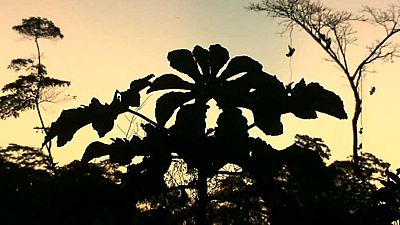 Pueblo de Dios - Sepahua: la madera de la casa com�n - ver ahora