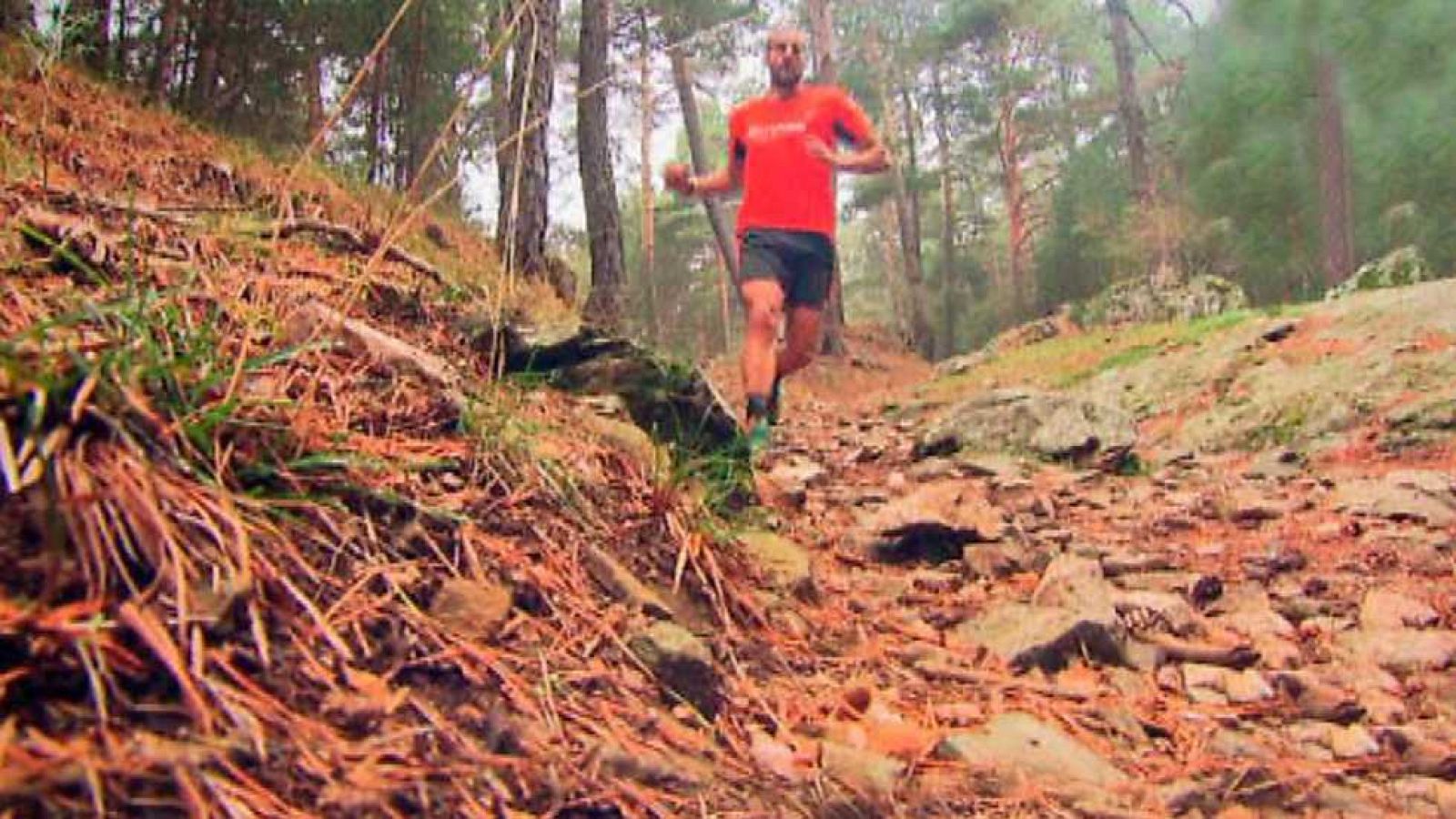 Zoom Sport - 10/07/16 - ver ahora