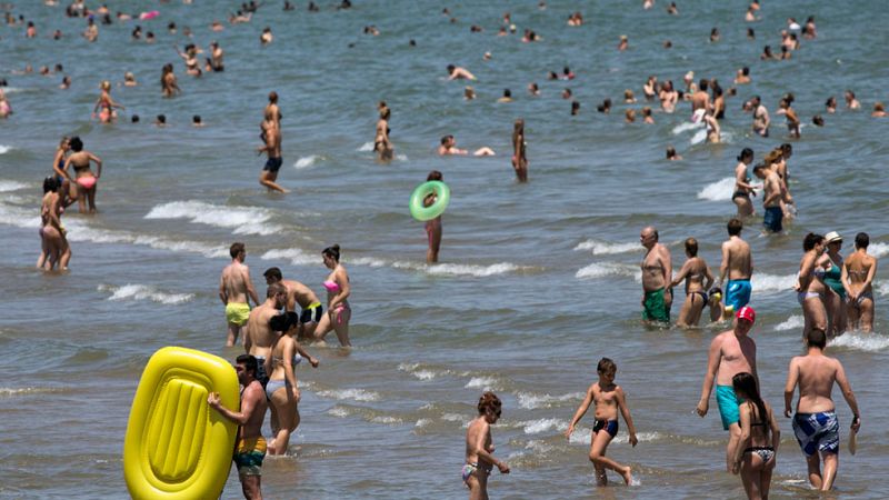 Una iniciativa pionera para el control de las medusas