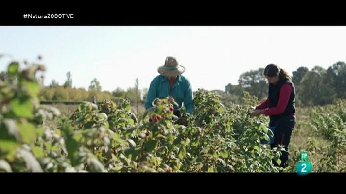 Montes Aquilanos y Sierra del Teleno: Manolo
